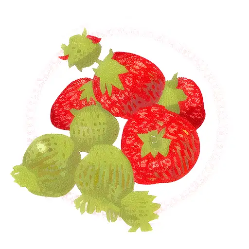 strawberries and gooseberry  tattoo design idea