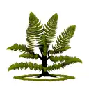 Fern Tree tattoo design idea