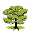 Fern Tree tattoo design idea