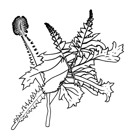 All Blacks fern tattoo design idea