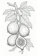 fig fruit tattoo design idea