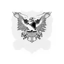 Nigerian flag morphing into an eagle silhouette tattoo design idea