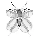 Grasshopper tattoo design idea