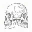 half normal head half skull tattoo design idea