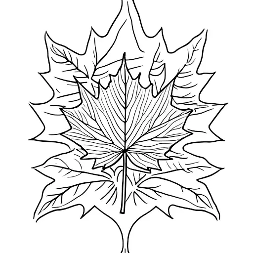 Maple Leaf tattoo design idea