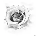 Rose with clouds tattoo design idea