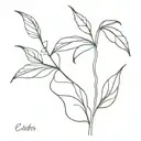 planta de la lenteja tattoo design idea