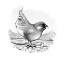 kiwi bird wearing a Scottish kilt tattoo design idea