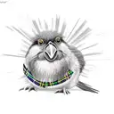 kiwi bird wearing a Scottish kilt tattoo design idea