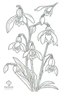snowdrop flowers   tattoo design idea