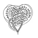 A heart and brain intertwined in a double helix DNA strand tattoo design idea