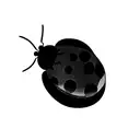 Ladybug tattoo design idea
