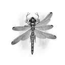 Dragonfly tattoo design idea