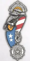 Texas state flag, police shield badge, fender guitar, green ribbon, F-14 Tomcat, woody the woodpecker, roadrunner tattoo design idea
