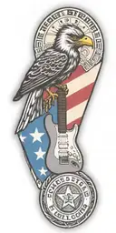 Texas state flag, police shield badge, fender guitar, NICU Awareness, F-14 Tomcat, woody the woodpecker, roadrunner tattoo design idea