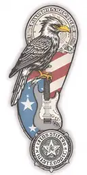 Texas state flag, police shield badge, fender guitar, NICU Awareness, Lunar module, woody the woodpecker, roadrunner tattoo design idea