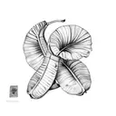 Banana tree plant tattoo design idea