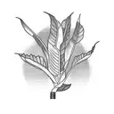 a banana tree tattoo design idea