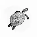 turtle tattoo design idea