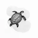 turtle tattoo design idea