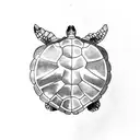 turtle tattoo design idea