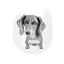 three dachshund dogs tattoo design idea