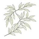 olive leaf tattoo design idea