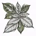 olive leaf tattoo design idea