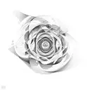 fibonacci sequence tattoo design idea