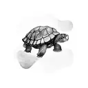 tortoise tattoo design idea