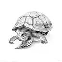 tortoise tattoo design idea