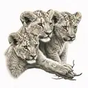 Two lion cubs, the first one is holding a cotton branch delicately and the second one is in front of a to tattoo design idea