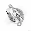 heard with eternity loop made out of swallow  tattoo design idea