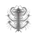 centipede tattoo stencil tattoo design idea