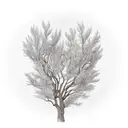 willow tree  tattoo design idea