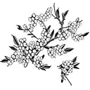 almond blossom tattoo design idea