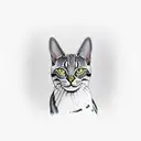 grey stripe with hind spots egyptian mau cat tail wrap around arm tattoo design idea