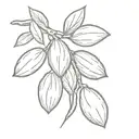 Almonds tattoo design idea