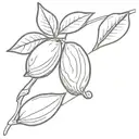 Almonds tattoo design idea