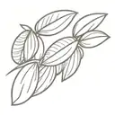 Almonds tattoo design idea