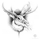 jackalope tattoo design idea