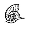 snail  tattoo design idea