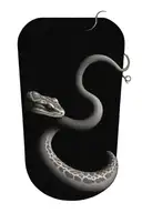 small ball python snake, simple position, with that goes around the arm vegetation tattoo design idea