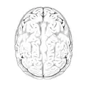 an mri of a brain showing tumor tattoo design idea