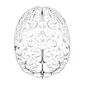 an mri of a brain showing tumor tattoo design idea