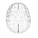 an mri of a brain showing tumor tattoo design idea