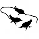 three little birds hanging on a cable line tattoo design idea