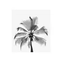 Palm Tree tattoo design idea