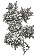 chrysanthemum and aster and violet tattoo design idea