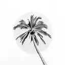 Palm Tree tattoo design idea